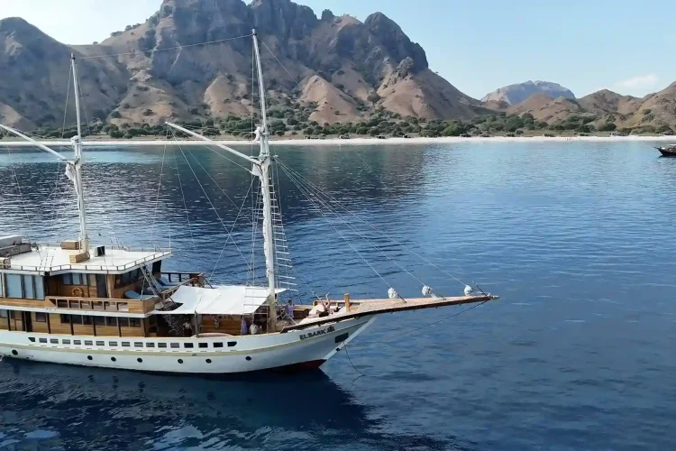 Elbark Cruise Yacht Phinisi